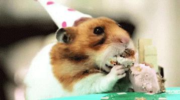 仓鼠的嘴巴和舌头是怎么样的,仓鼠这么可爱能吃掉吗