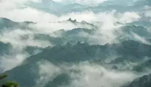 南平除了武夷山还有哪些景点,福建南平市武夷山风景区游记