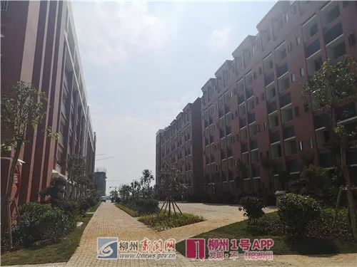 柳州市柳高铁一中今年招生人数,2017柳州市高中招生计划