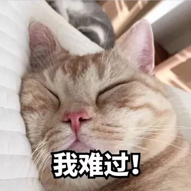 郑州公交卡绿城通优惠多少,郑州绿城通怎么用手机乘车