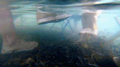 豆瓣9.8，1个寡妇带4个熊孩子，为啥都过得比我爽？