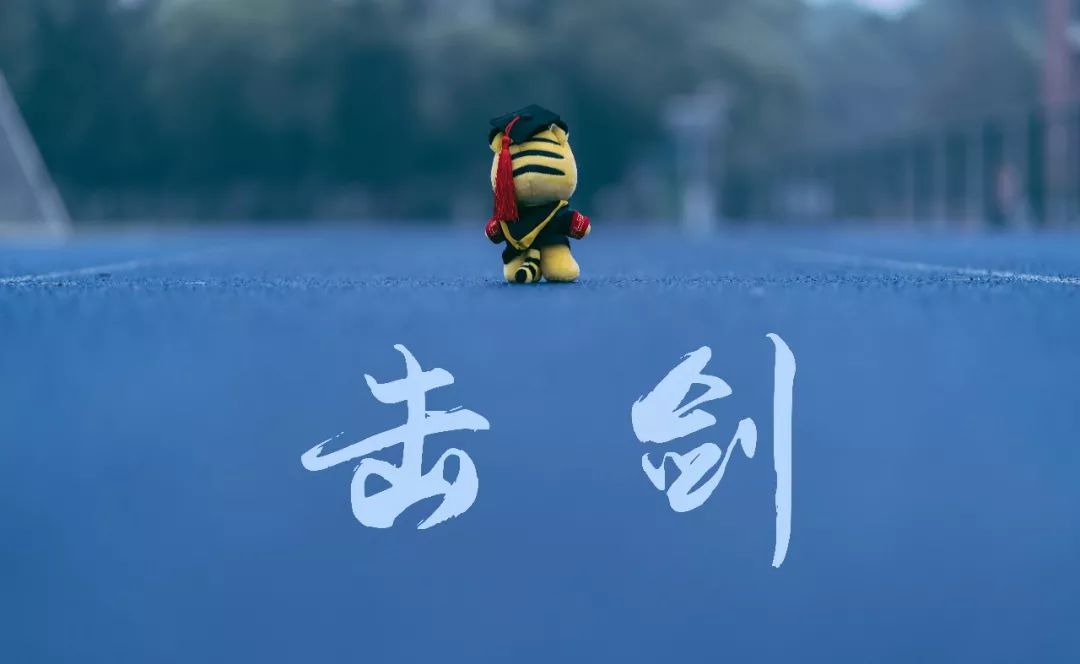 北京运动乐园室内轮滑旱冰场,室内真冰滑冰场设备