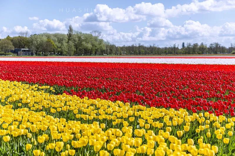 官宣荷兰,荷兰鹿特丹和阿姆斯特丹亚欧专列