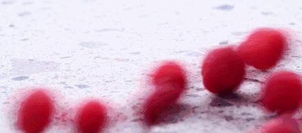 杨梅用盐洗不泡能洗干净嘛,杨梅能用盐清洗干净吗