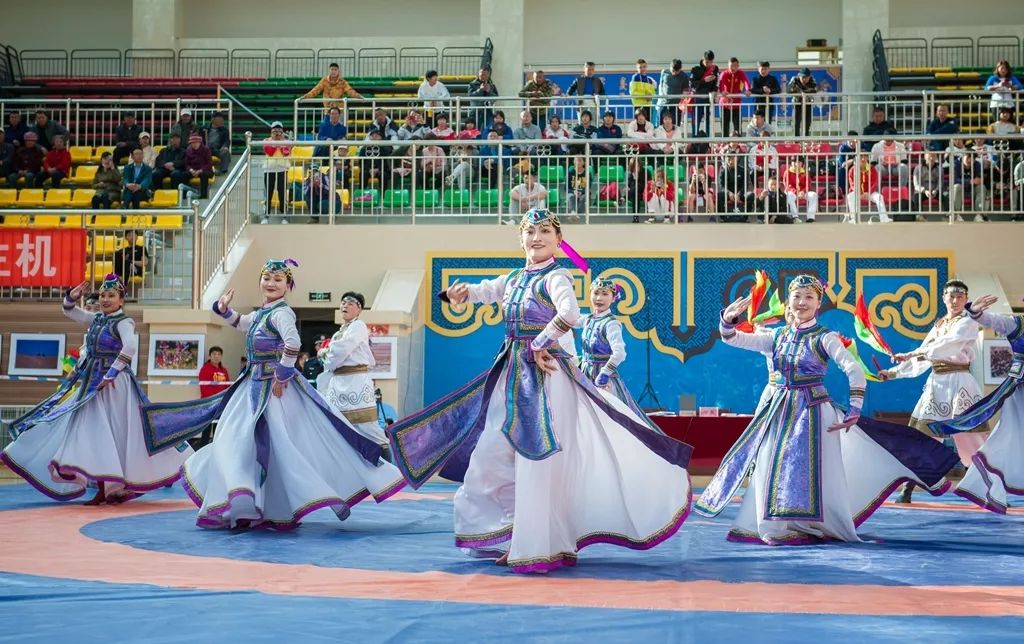 甘肃省国际摔跤锦标赛,甘肃省青少年国际式摔跤锦标赛