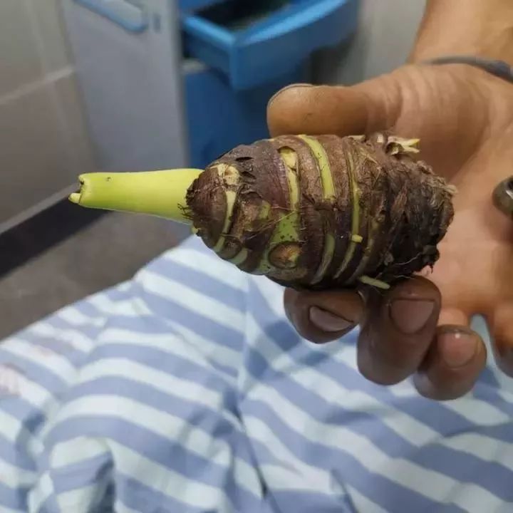 被误食的致命毒物,一碰就中毒怎么处理