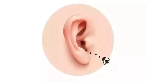 超实用的家庭急救指南,最实用的家庭急救