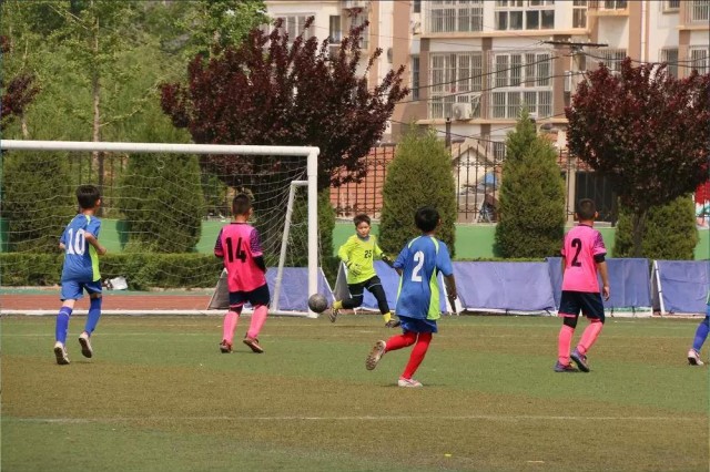 招远市长杯足球赛2023小学组,2019招远市长杯足球赛