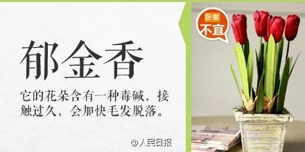 台州人注意！碰了一下就中毒，严重者可致命！这个毒物很多人家里有