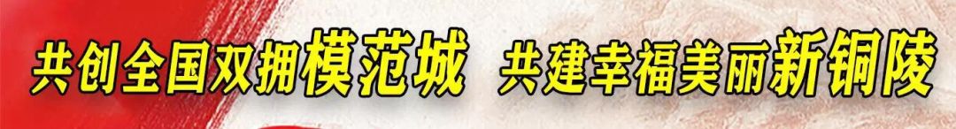 赞！铜陵4产品获省级金（银）奖