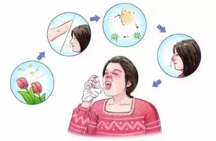 防蚊帘爆开如何处理掉,防蚊物理屏障