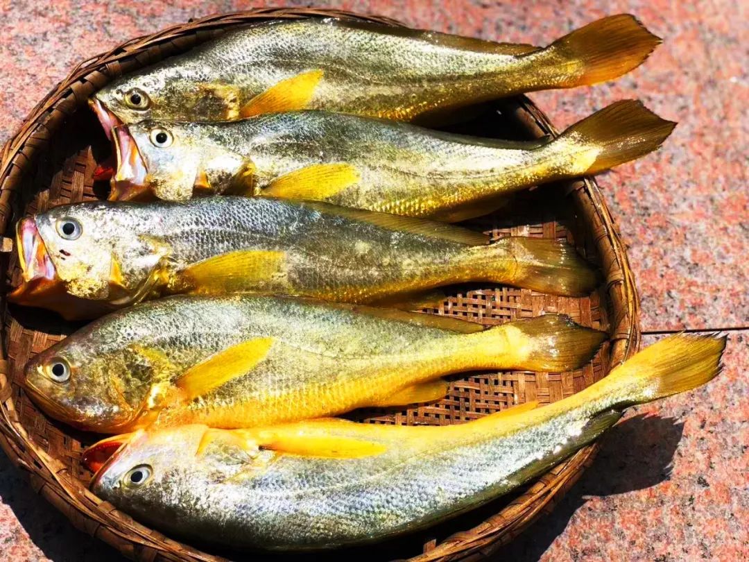 渔家女揭露海鲜市场黑幕,渔家女直播回放