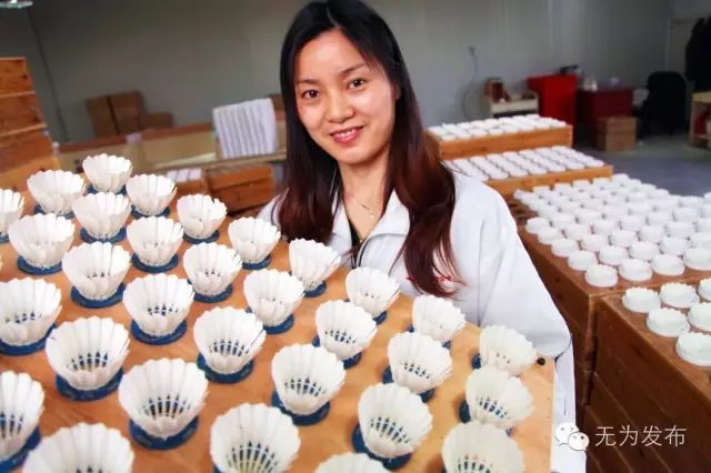 外媒看无为|科技成就品牌，创新展现实力——一个农业大县的创新实践路：小羽毛带动大产业