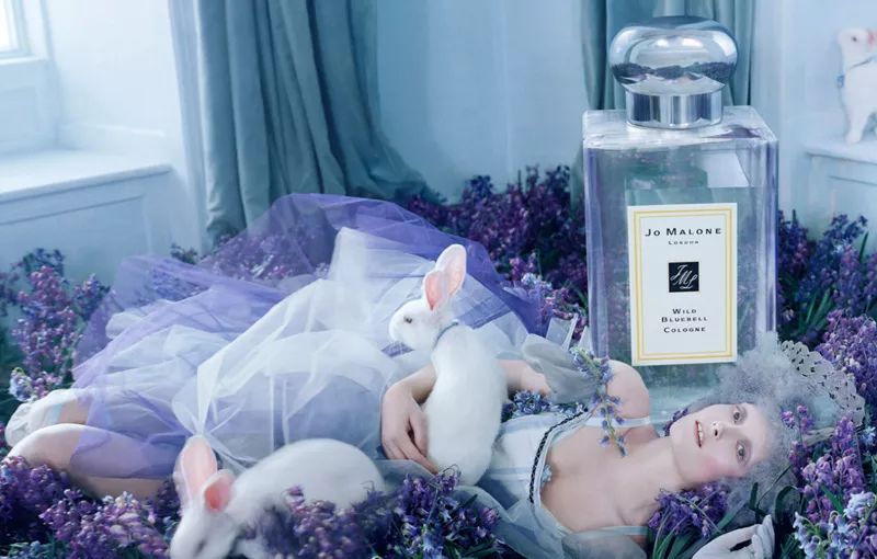 寻香|还原派VS颠覆派？诶呦~想不到这花还有两副面孔！（上）