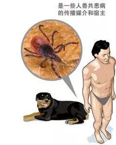 女孩随手拍了一只虫子,不能随便用手拍死的虫子有哪些