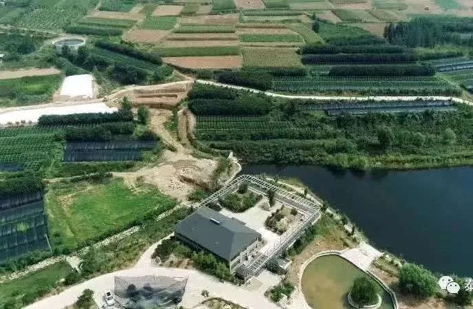 周末去哪儿快来这里尽情撒欢吧,周末周边游去一趟自己想去的地方