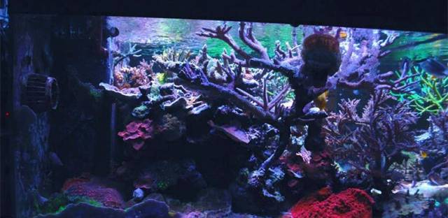 鉴定完毕！这一定是个有钱的主儿