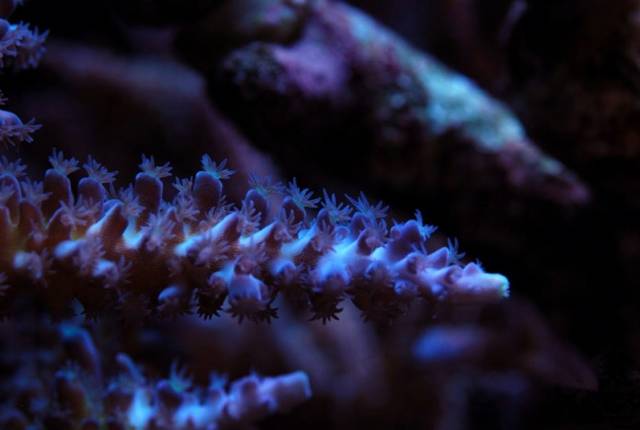 鉴定完毕！这一定是个有钱的主儿