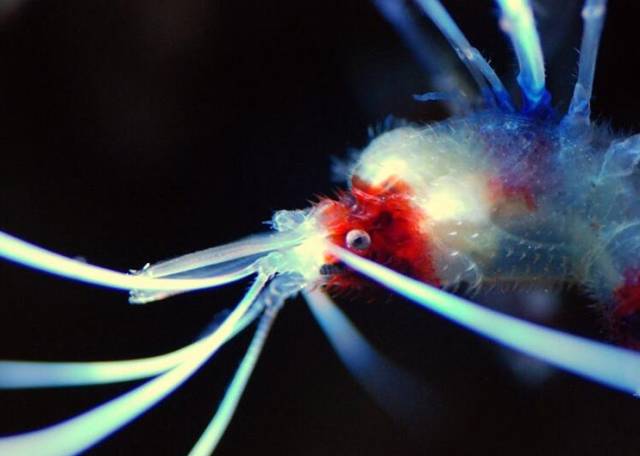 鉴定完毕！这一定是个有钱的主儿