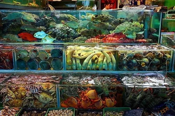 大V推荐|追泪记：手把手教你两天一夜玩转平潭岛