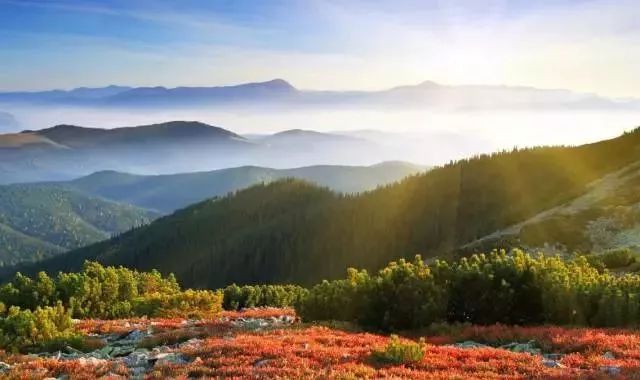 96岁北大教授夫人断食断水4天,90岁清华教授夫人断食