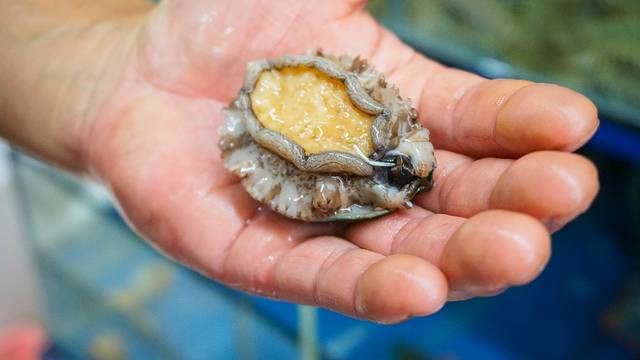 夏威夷之旅蔚蓝色的海,东方夏威夷海洋之心