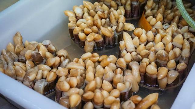 夏威夷之旅蔚蓝色的海,东方夏威夷海洋之心