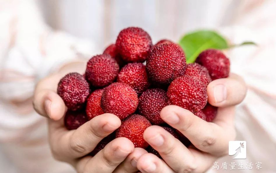 洗杨梅怎么洗虫子会跑出来,洗杨梅怎么有一层油