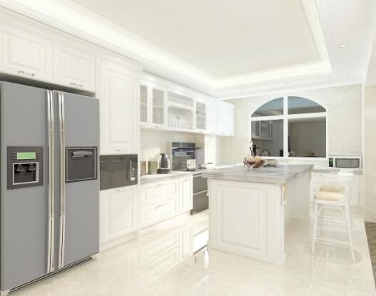 双开门冰箱买什么样的好,双开门冰箱就真不值得推荐吗