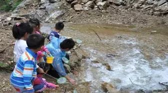 摘樱桃、做蛋糕！这个周末全家一起嗨！《周末去哪嗨》第八站火热报名开启