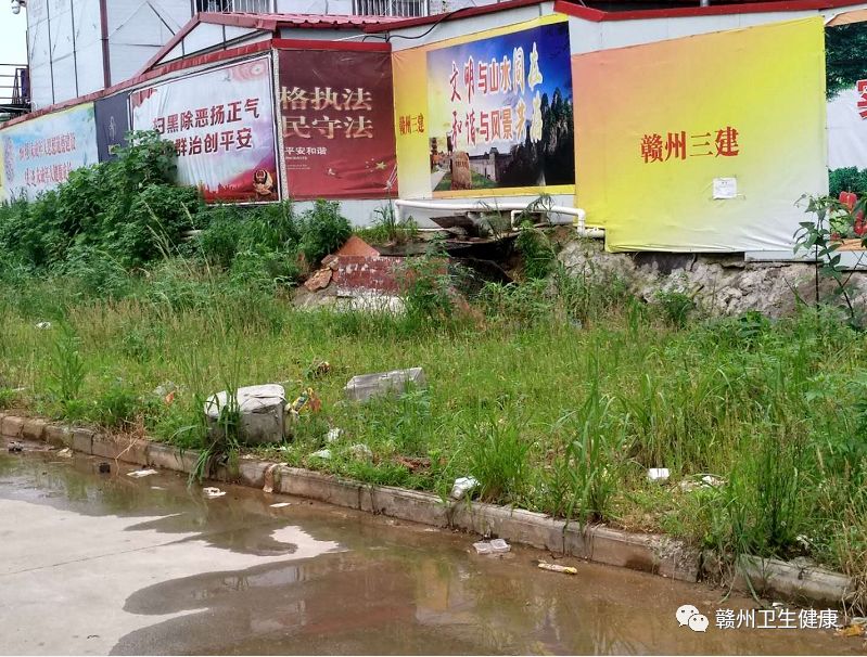 创卫新闻郭素芳,创卫现在的情况