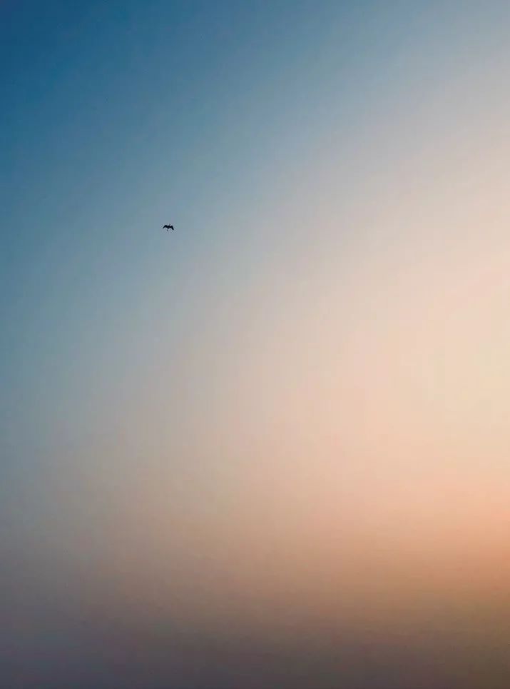 手机拍照构图方法和技巧,手机拍风景构图技巧