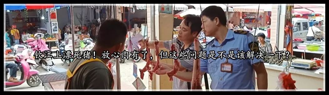 广西钦州高中招生政策,2021年钦州高中招生计划