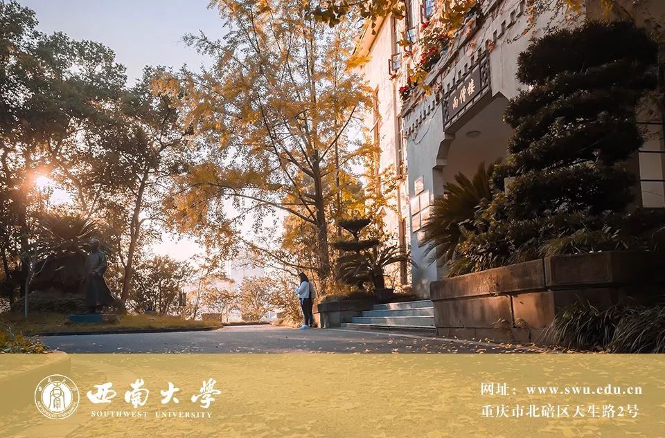 我们又双叒叕获奖了,我们又双叒叕夺冠了