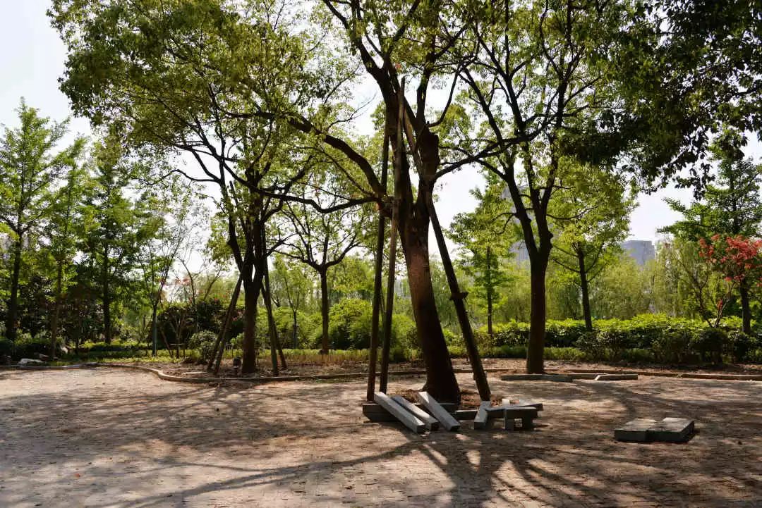 虹桥河滨公园优惠团购,虹桥河滨公园所在地