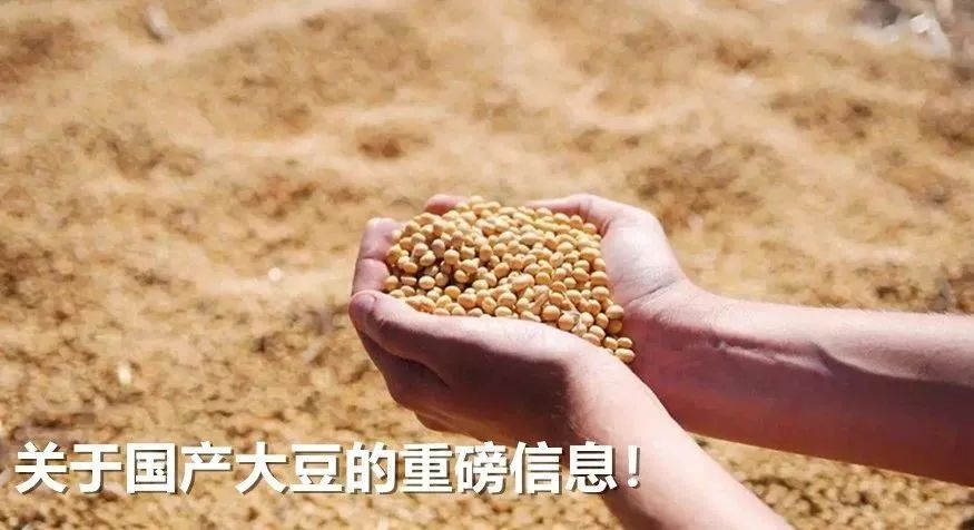 中国和巴铁最近关系,中国对巴铁态度