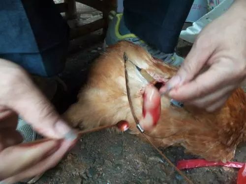 月入过万的高薪行业,冷门打工月入过万