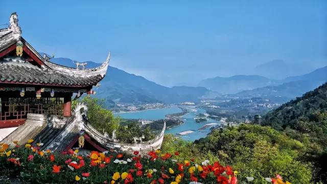 大熊猫铲屎官,都江堰熊猫谷铲屎官报名