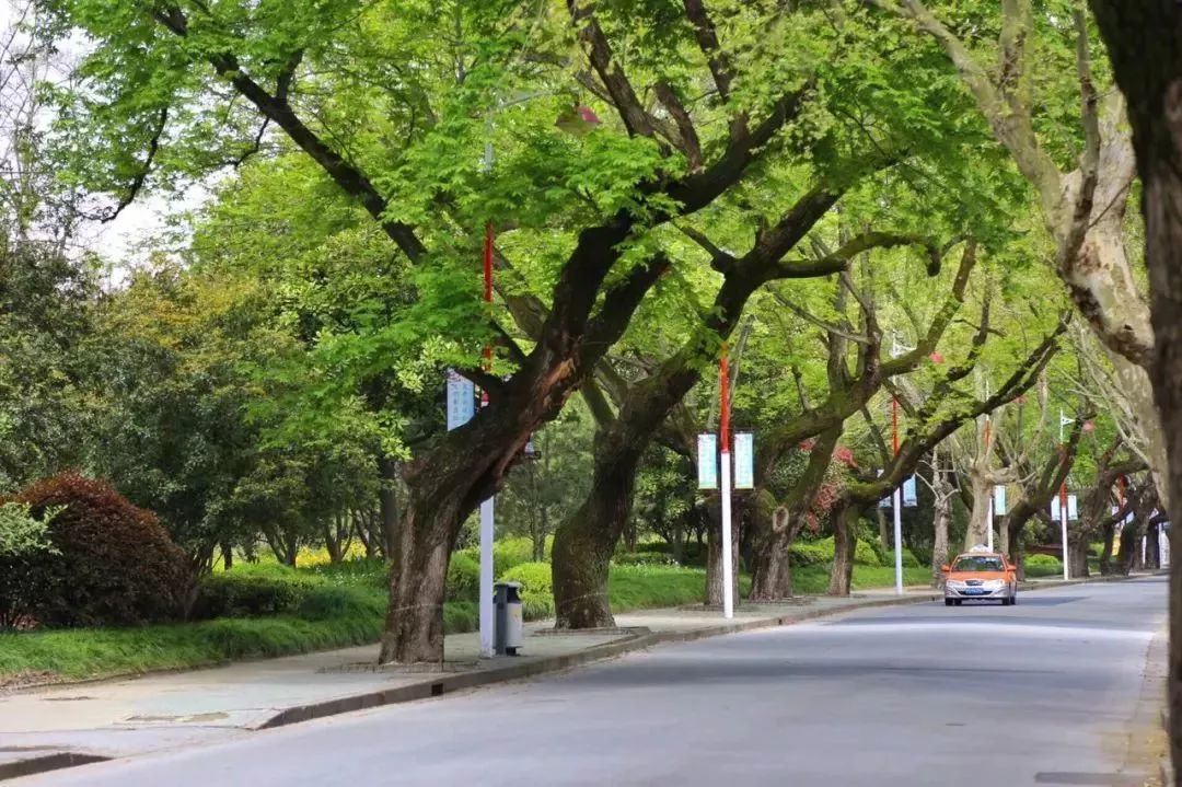 你对即将到来的假期有何期待,你对广州发展有什么期待