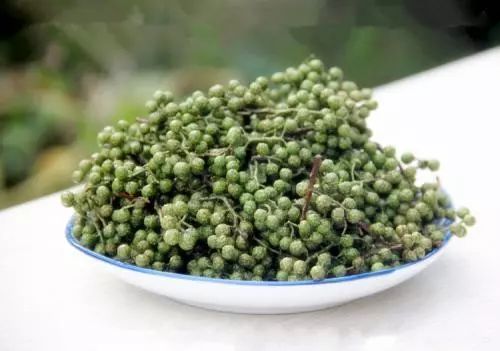 蚊虫叮咬快速止痒的中医方法,超好用的止痒消肿的药膏蚊虫叮咬