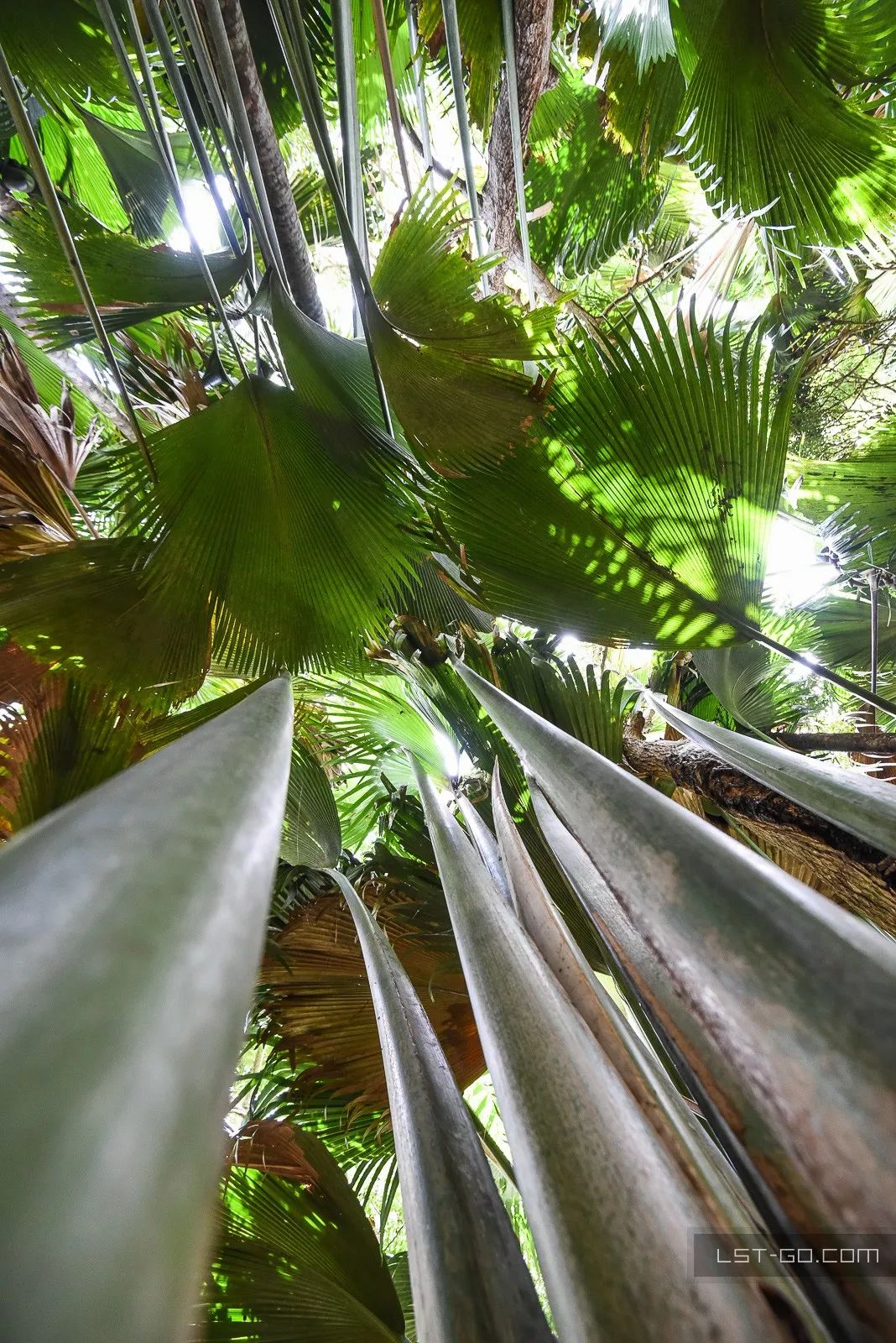 这些海岛人少景美不输马代,马尔代夫一价全包亲子游岛屿推荐