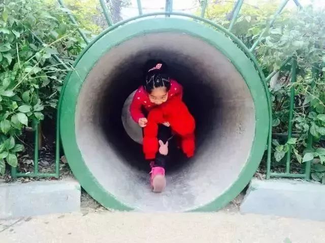 厦门推荐带娃好玩的地方,厦门溜娃免费景点