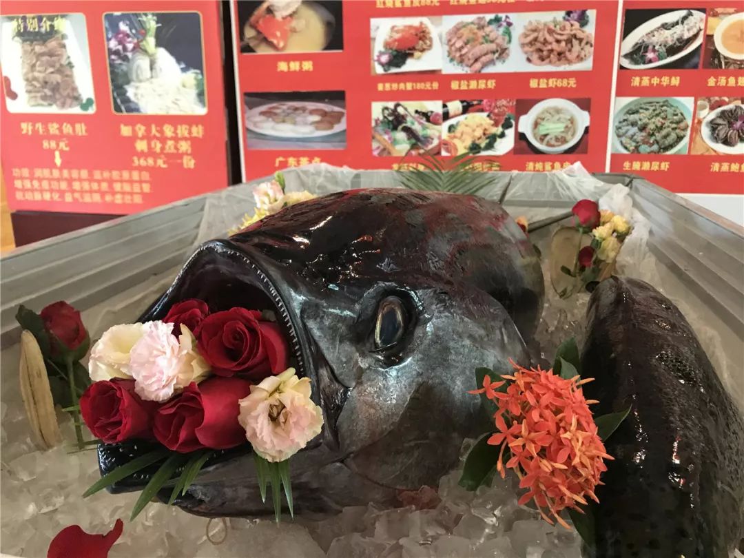 各种美味海鲜挑战你的味蕾,海鲜美食快来尝个鲜