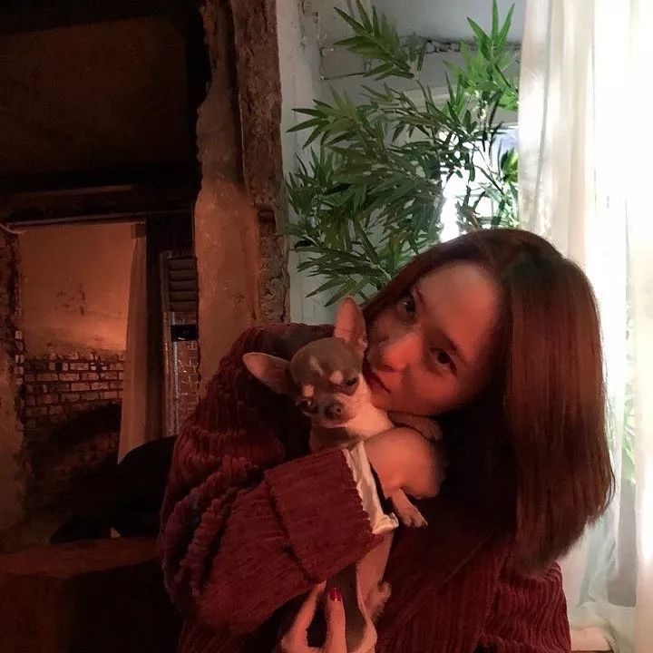 郑秀晶有颜值有腹肌,郑秀晶发福变胖为什么