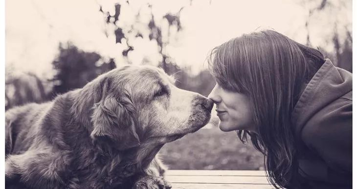 无惧雨水烈日～独特小动物头晴雨伞，让你独具气质与不俗魅力