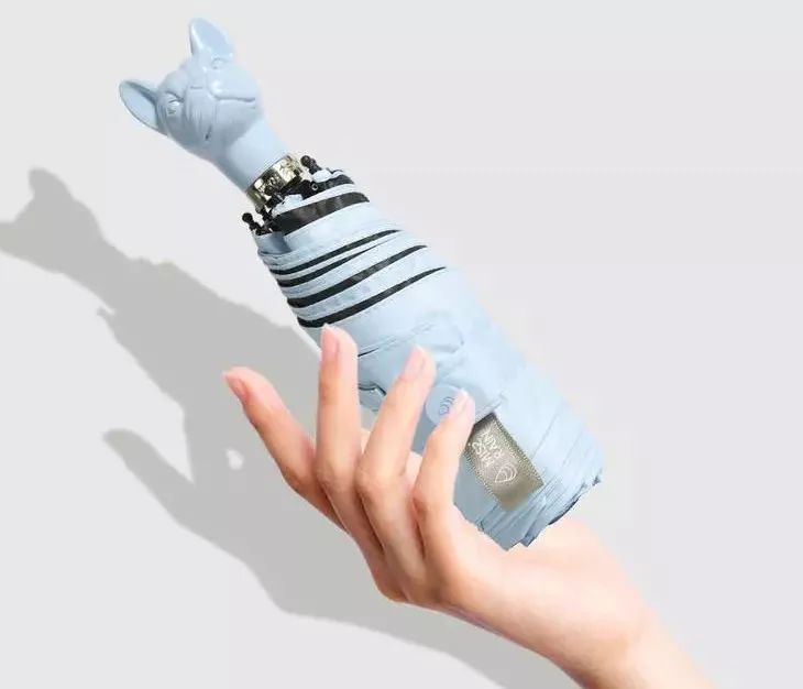 不惧台风的雨伞,无惧风雨的摩托车雨衣