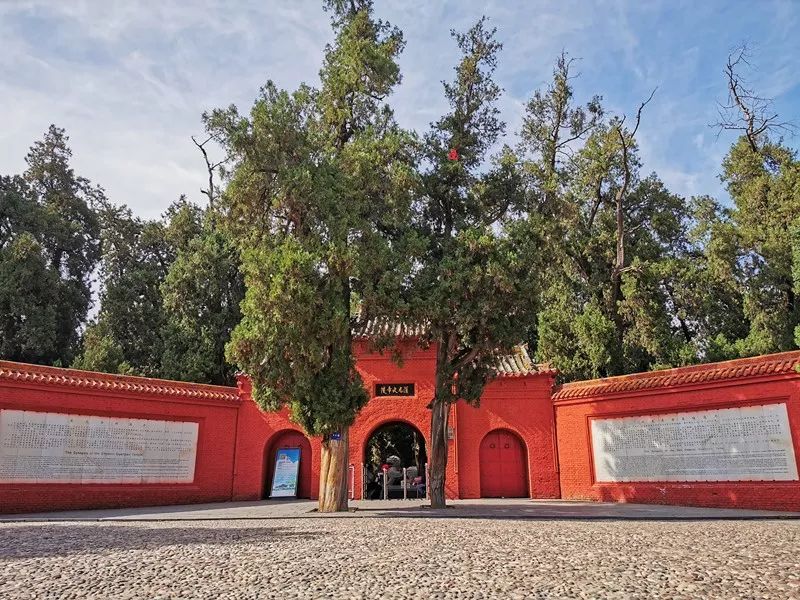 洛阳市网红打卡景点,洛阳十大网红景点推荐