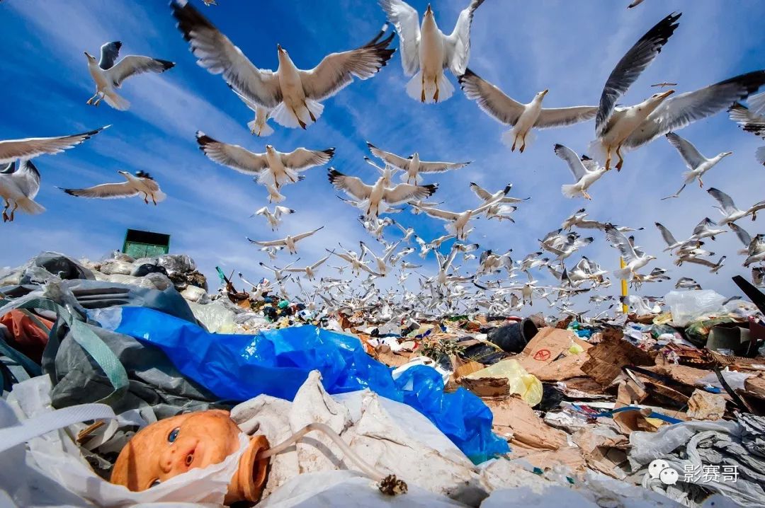 梵高文森特作品大全,文森特梵高的全部作品及介绍