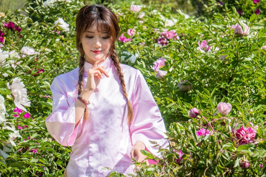 他让高寒干旱地开满牡丹花，打造西北牡丹第一园