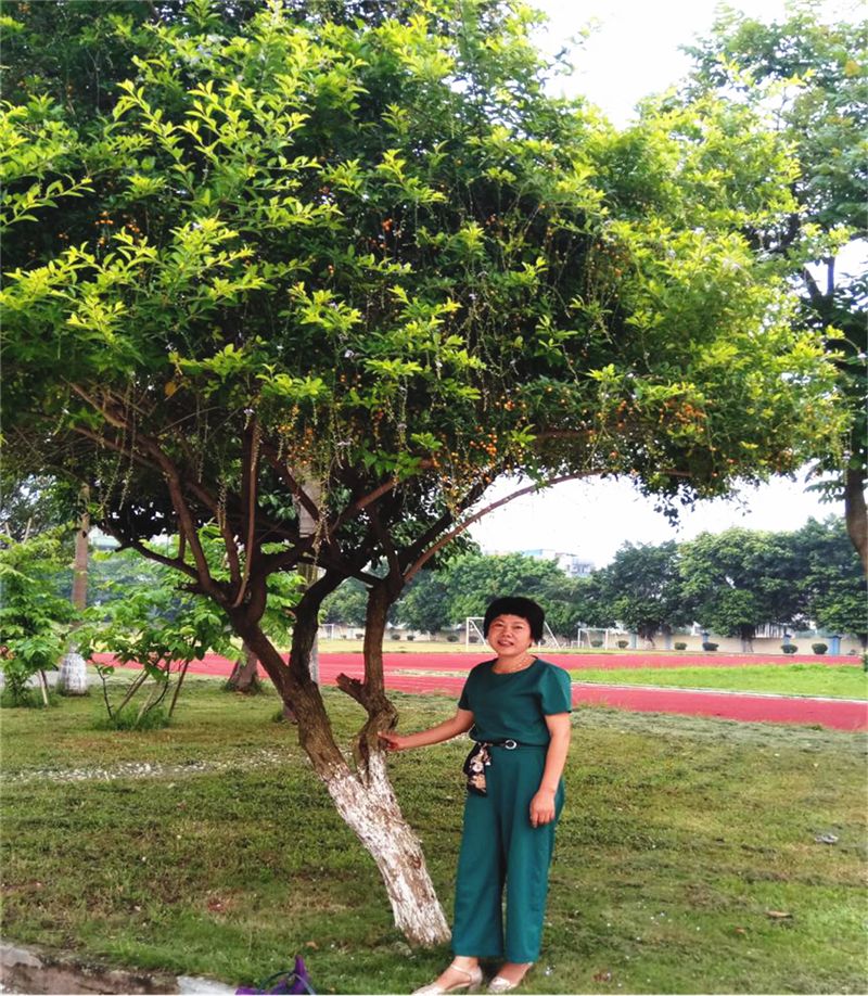 佛山市三水区重点小学,三水区比较好的小学